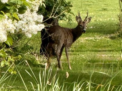 Picture 30